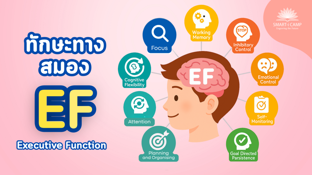 รู้จักว่าทักษะสมอง EF คืออะไร